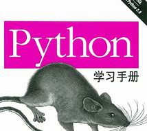 在 Python 中，对象名称前的单前导和双前导下划线代表什么？